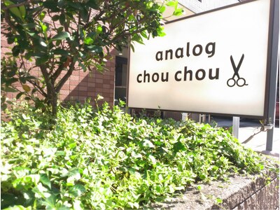 アナログシュシュ(analog chou chou)