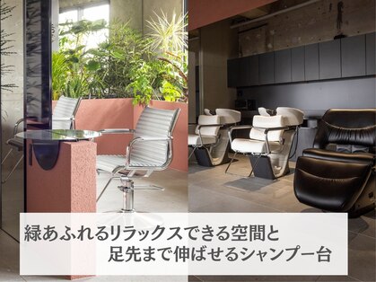 キャラハーフ 池袋東口店(KYARA HALF)の写真