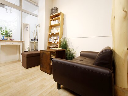 トリニティ ヘアー デザイン(TRiNiTy HAIR DESIGN)の写真