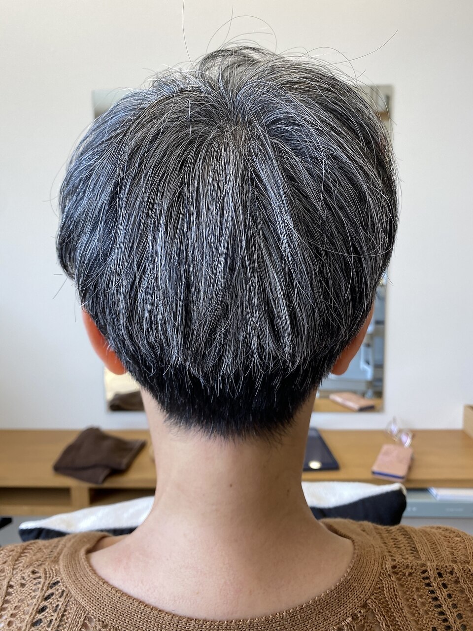 FONTAINEフォンテーヌ　VALAN　グレーヘアー　ベリーベリーショートS FONTAINEフォンテーヌ VALAN グレーヘアー ベリーベリーショート