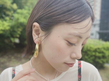 コットン(cotton)の写真