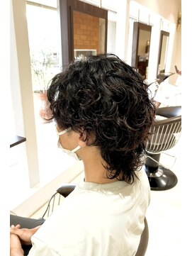 シャンティーク(shanteek) サーフカール