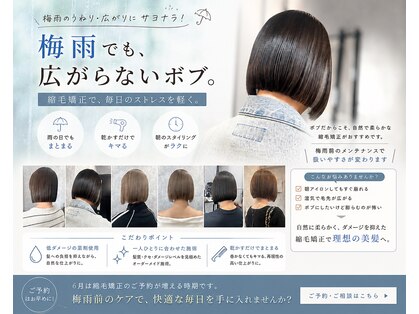 イデアル(Ideal)の写真