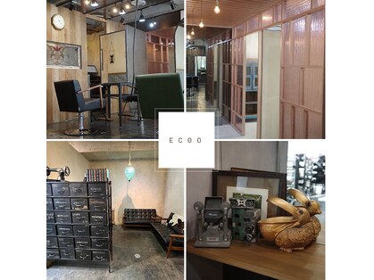 エクー(ECOO)の写真