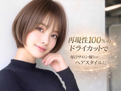 アビリタ(abilita)の写真