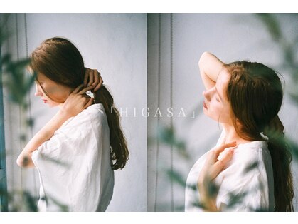 ヒガサ(HIGASA)の写真