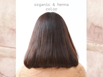 ハイローズ(Hi‐Rose)の写真