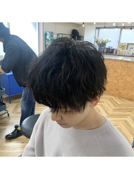 カレント 蕨(THE CURRENT) 【current】蕨　　ツイスパ