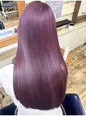 【ピンクラベンダー】