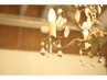 【気になる白髪を馴染ませる】ハイライト+根元カラー+似合わせカット￥11600～