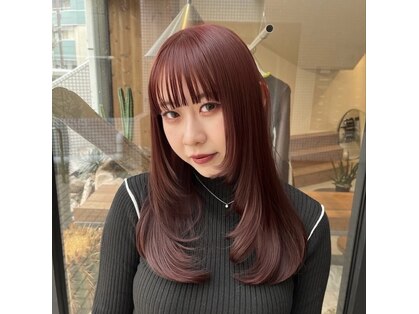 ディスカバード(Discovered)の写真