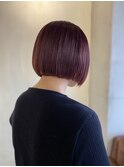 guest 【高円寺 中野】