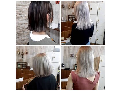 メデル(medel)の写真