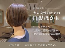 オモルフィ ひばりヶ丘店(Omorfi)の雰囲気（白髪染め・白髪ぼかし！エイジング毛のお悩みお気軽にご相談を♪）