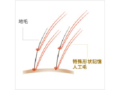 増毛エクステは1本の自毛に4～6本の人工毛を結ぶ「エクステ増毛｣