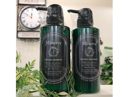 ミネルヴァ 長野店の写真