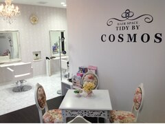 TIDY BY COSMOS