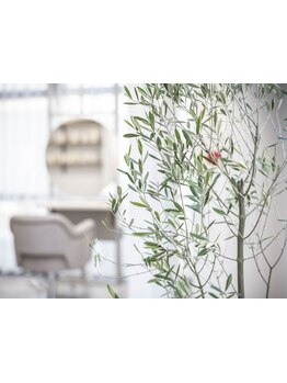 自然光が柔らかく照らす、シンプルでナチュラルな空間。くつろげる大人女性のためのヘアエステサロン