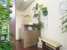 オルオル(olu olu)の雰囲気（段差のない美容室です！車椅子や体が不自由な方もご来店可能◎）