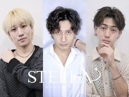 ステラ(STELLA)の写真