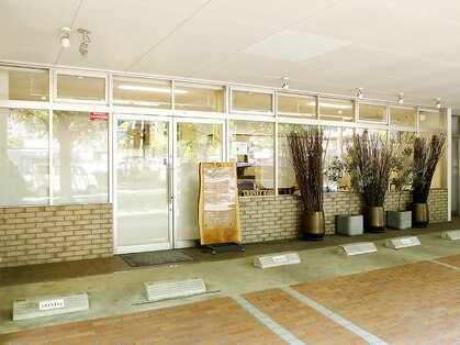 トリニティ ヘアー デザイン(TRiNiTy HAIR DESIGN)の写真