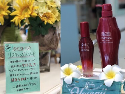 ノブ ヘアデザイン 大船店(NOB hairdesign)の写真