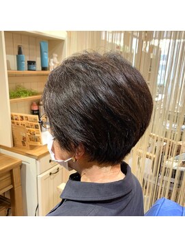 イノセンツ(Innocent'S) コンパクトショート/白髪ぼかし/グレイカラー/カット