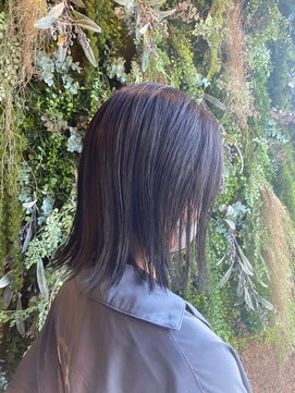 ノーブルヘアー(NOBLE HAIR) ブルーバイオレット