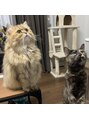 ルーム(ROOM)&nbsp;二匹の猫と過ごす日々！　帰って疲れてもこの2匹に癒されてます