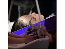 ビューティースプレッド(Beauty SPREAD)