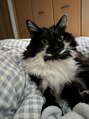 ユニックス ノクティプラザ溝口店(UNIX) 猫が大好きです!猫好きの方は是非お話しましょう♪♪
