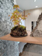 喫煙者ゼロ宣言