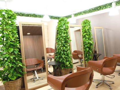 と和×美髪クリニック 巣鴨店の写真