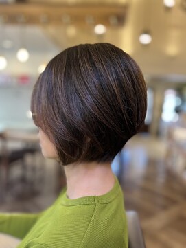 ヴァンファミリー アピタ福井飯塚店(Vanfamily) 大人な美人ショート