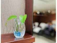 グランドゥー(GRAN DEUX)の雰囲気（広々とした明るい空間に、程よく散りばめられた緑の植物たち）