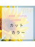 【土日祝限定】カット＆カラー　￥6,500