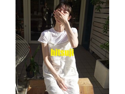 ヒツジ(hitsuji)の写真