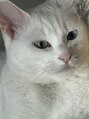 レブル(Re BuLL)&nbsp;ねこたんと一緒に住んでます！