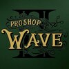 プロショップウェーブ セカンド(PRO SHOP WAVE II)のお店ロゴ