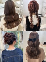 ディティカ ティア(Dityca tia)