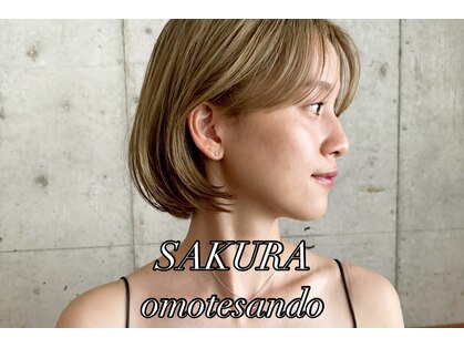 サクラ オモテサンドウ(SAKURA)の写真