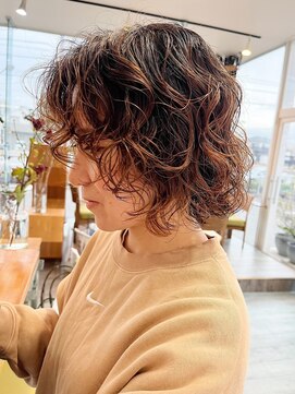 パーム スプリングス(Palm Springs) Hair by Palm Springs 730