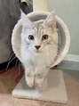 あるじゃんすー 沖縄店&nbsp;猫飼いです★動物全般大好き！ペットいる方沢山お話しましょう♪