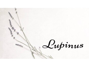 Lupinus