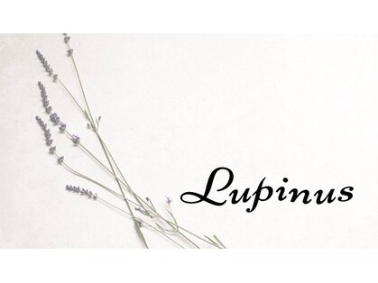 ルピナス(Lupinus)の写真