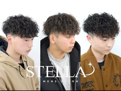 ステラ(STELLA)の写真