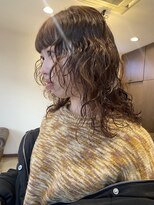 ショウビット(Show Bit)&nbsp;ウルフパーマ