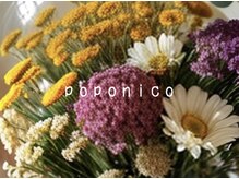 ポポニコ(poponico)