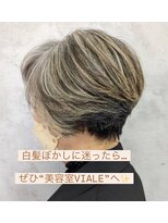 ヴィアーレ(VIALE)&nbsp;白髪ぼかしカラー