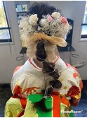 成人式スタイル